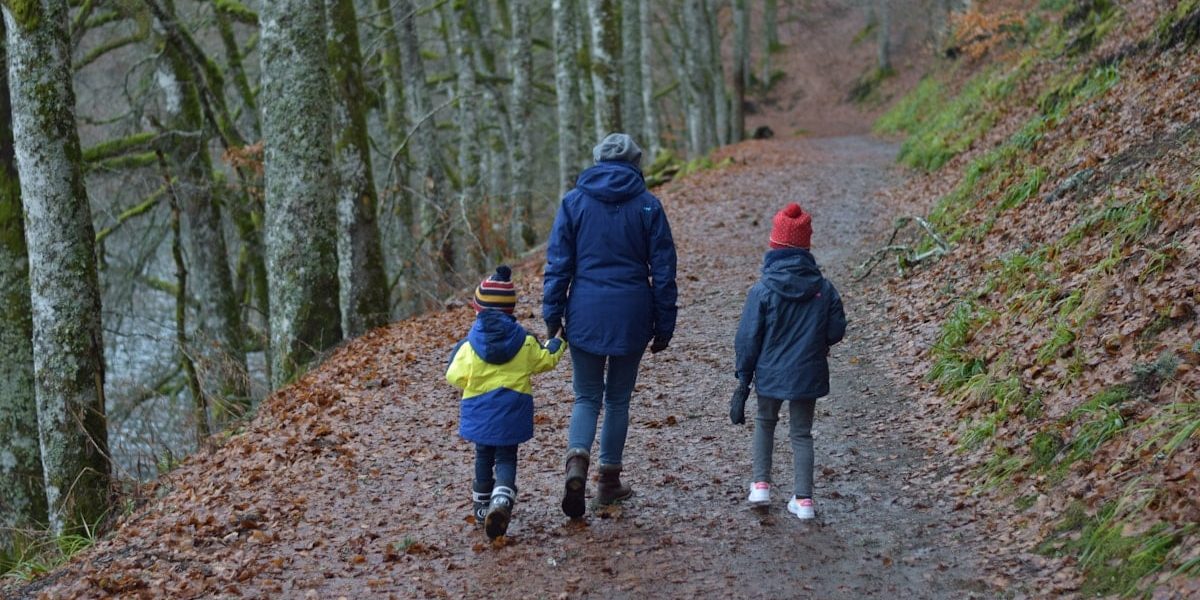 a group of people walking down a path in the woods