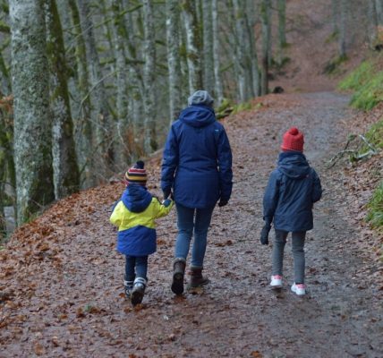 a group of people walking down a path in the woods