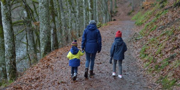 a group of people walking down a path in the woods