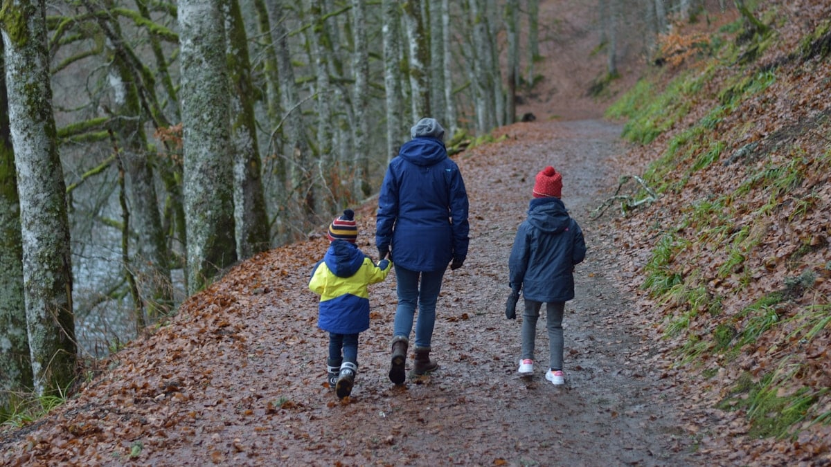a group of people walking down a path in the woods